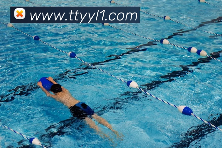 体育数据展示